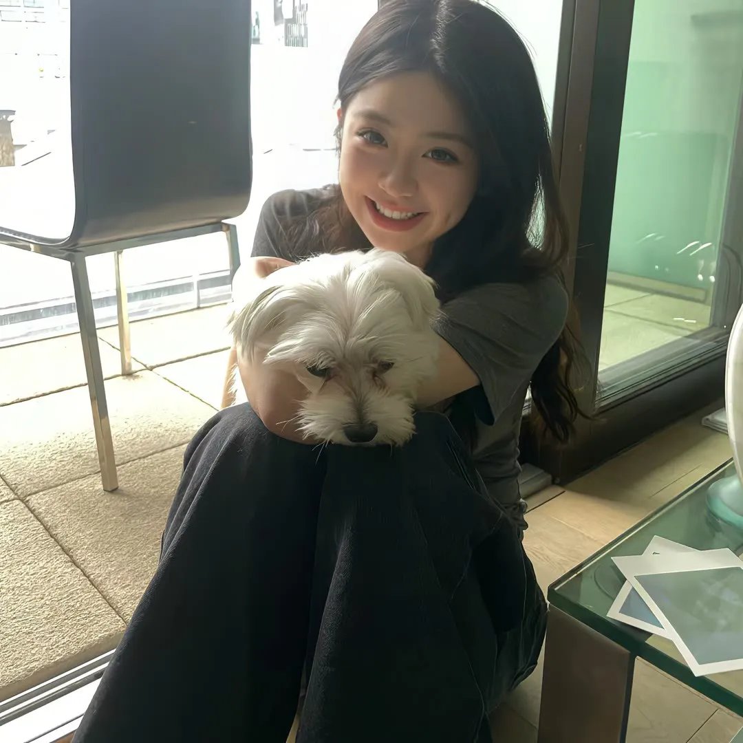 又是一年金秋月